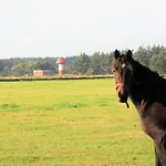 Nyaraló Westerheide Modern Retreat *