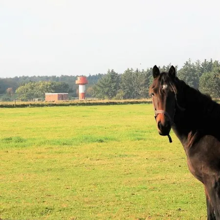 Westerheide Modern Retreat Holiday home *
