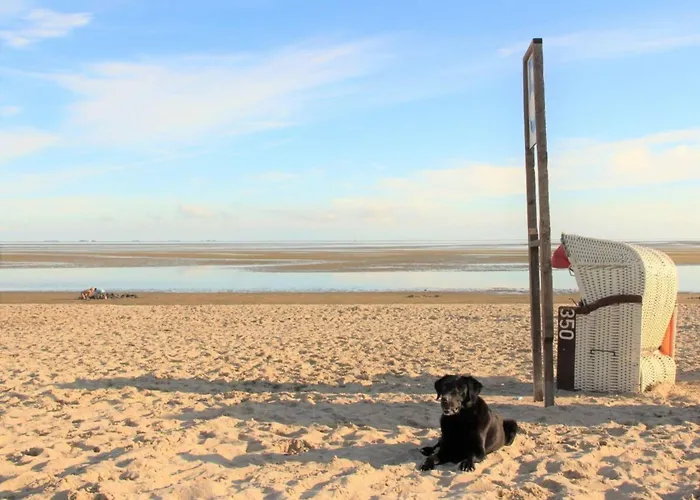 Westerheide Modern Retreat Vakantiehuis Nieblum