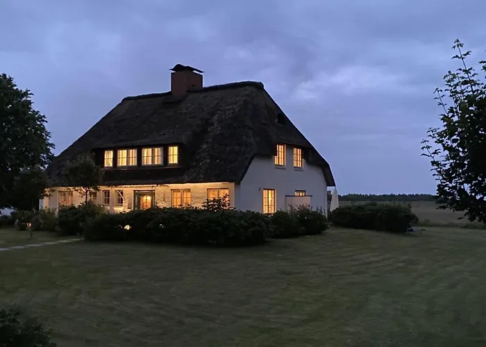 Vakantiehuis Westerheide Modern Retreat