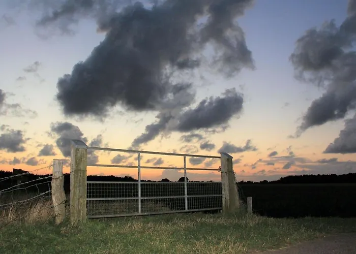 Westerheide Modern Retreat Vakantiehuis