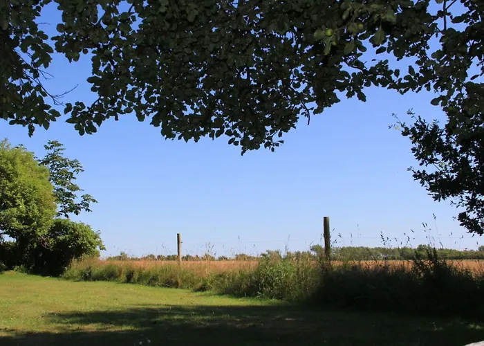 Vakantiehuis Westerheide Modern Retreat Nieblum