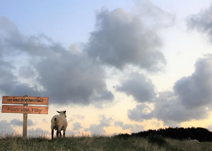 Westerheide Modern Retreat Vakantiehuis