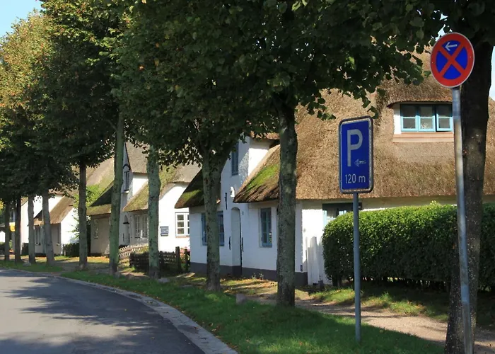 Vakantiehuis Westerheide Modern Retreat