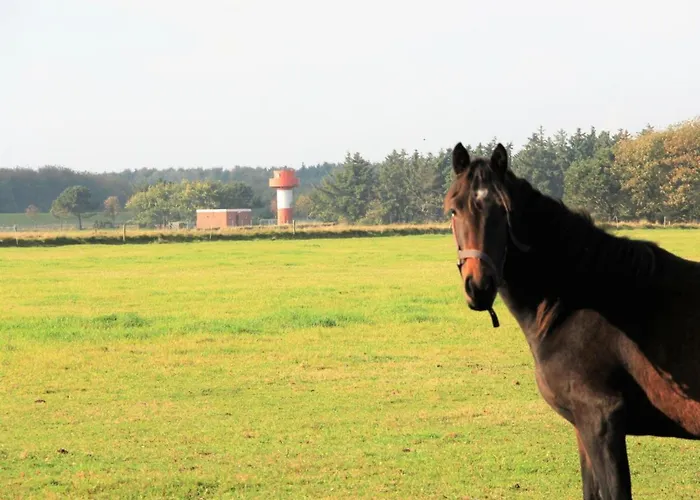 Vakantiehuis Westerheide Modern Retreat *