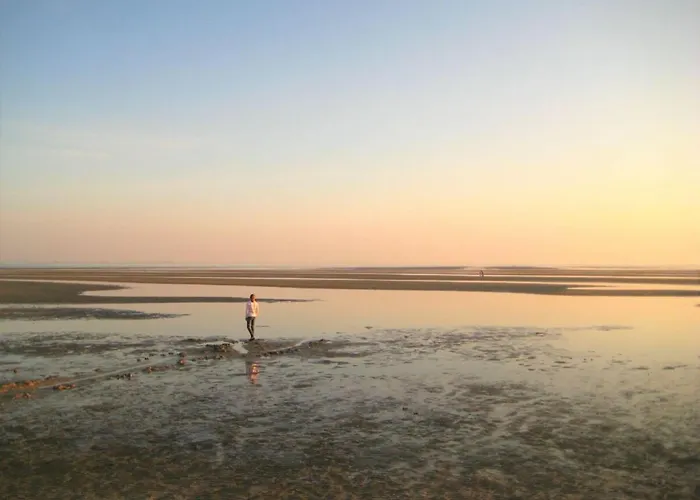 Westerheide Modern Retreat Vakantiehuis *